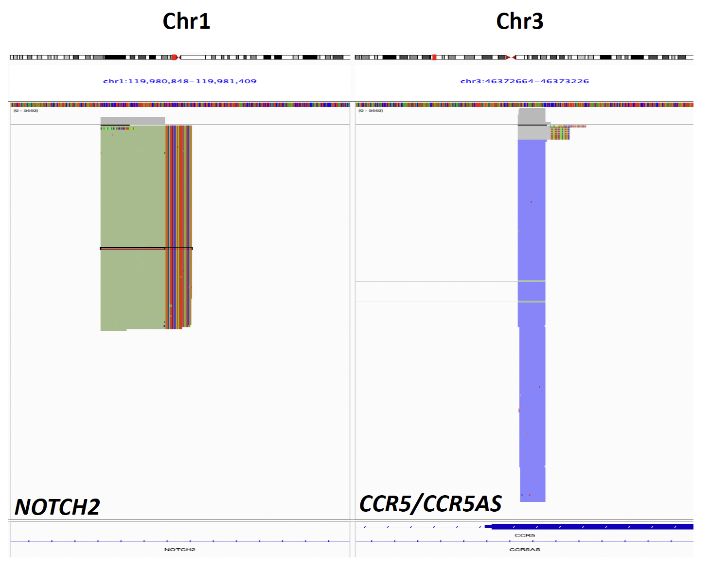 IGV plots illustrate paired read distribution at CCR5/Chr3 and Chr1.